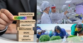 Diversity Drives Innovation: How SVI Teams Think Differently