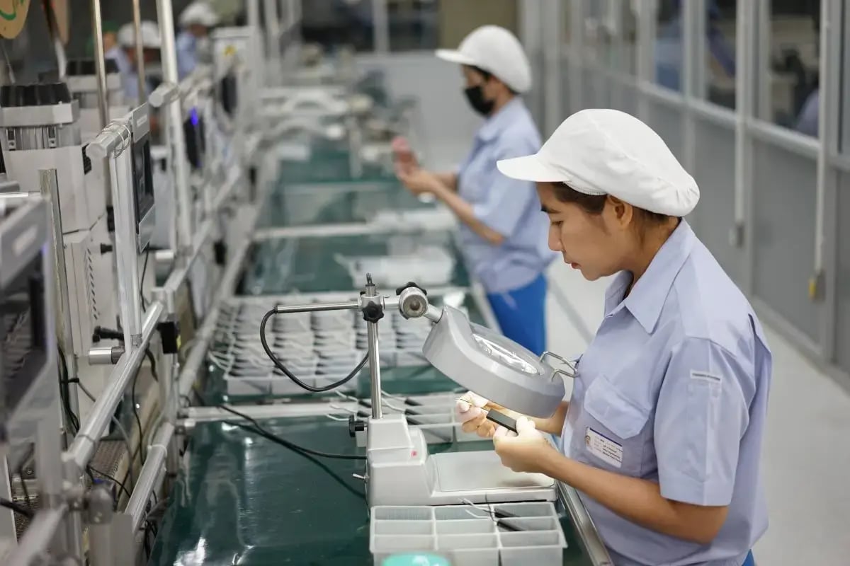 Cable harness-Tohoku Solutions