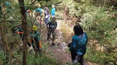 Beyond the factory SVI cares for planet