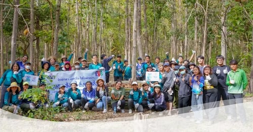 Building Sustainable Ecosystems Through Collective Action